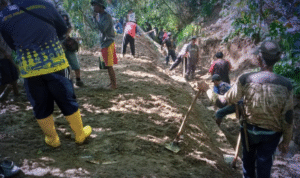 Screenshot 2025-11-09 070525