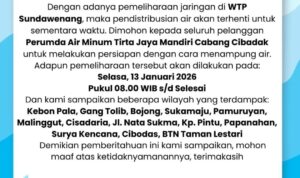 WhatsApp-Image-2026-02-17-at-18.10.06